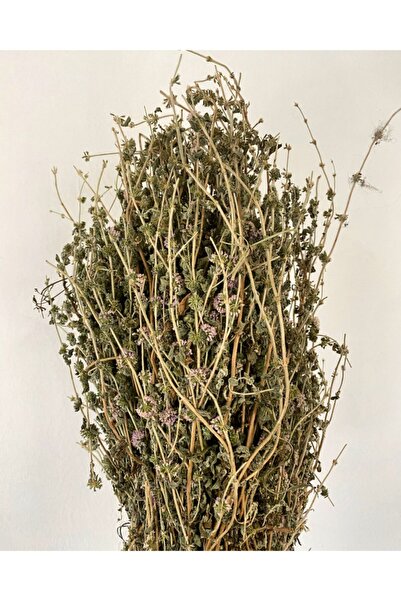 Ege Pazarından Filiskin Yarpuz Otu Kuru 1 Demet Narpuz Punk Otu Dağ Nanesi Do...