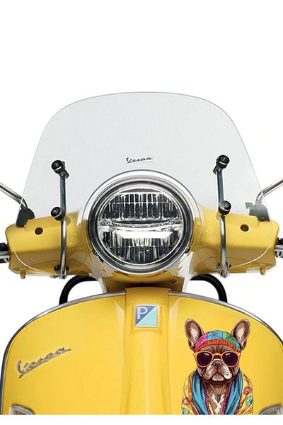 MegaSticker Autocolant cool Frankreich Bulldog - Motor, Cască, Laptop, Mașină 13x12 cm
