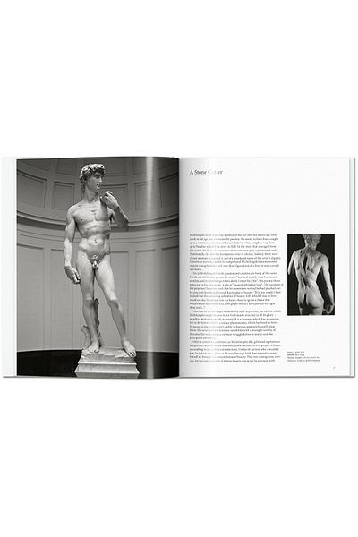 Taschen مايكل أنجلو - جيل نيريت 9783836530347