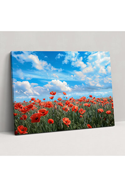 Popcas Vincent Van Gogh Gelincik Tarlası Duvar Sanatı, Vincent Van Gogh, Duva...