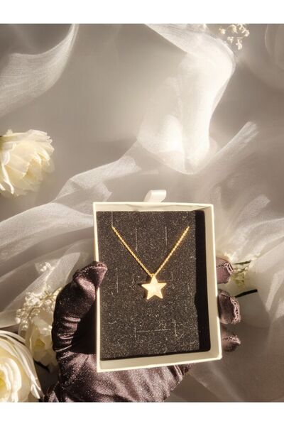 Soprano Silver Gece Parlayan Yıldız Kolye 14 Ayar Altın Kaplama925 Ayar Gümüş