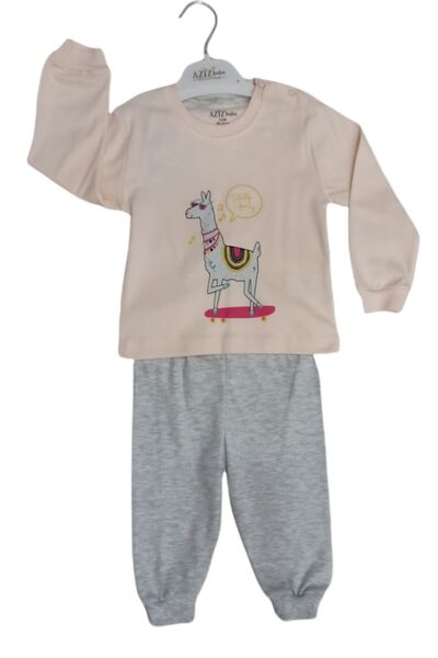 Aziz Bebe Crew Neck Long Sleeve Printed Baby Girl 2 Piece Set