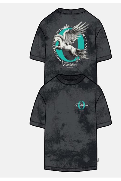 Only & Sons T-Shirt ONSRAY Kurzarmshirt