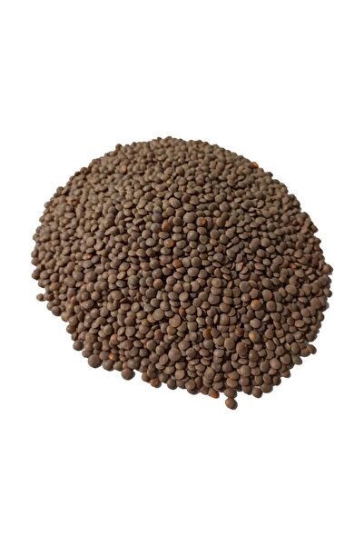 Antep Doğal Gıda Pazarı Organik Diri Mercimek 2.5 Kg