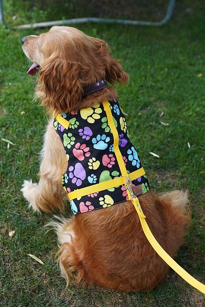 Patipatron Anti-Escape Dog Chest Collar Set Small Breed and Large Breed Dog Walking Collar