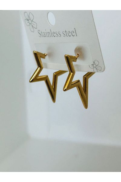 Çelik Earrings