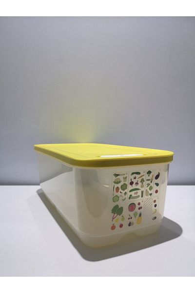 Tupperware Greenhouse 6 Lt Storage Container