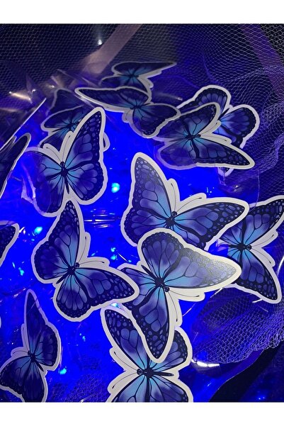 BuketBurada Led Işıklı Mavi Siyah Kelebek Buket