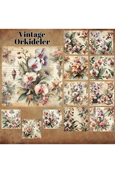 Pink Swan Craft Orkideler Vintage 12 Adet Scrapbook Bullet Journal Mat Planla...