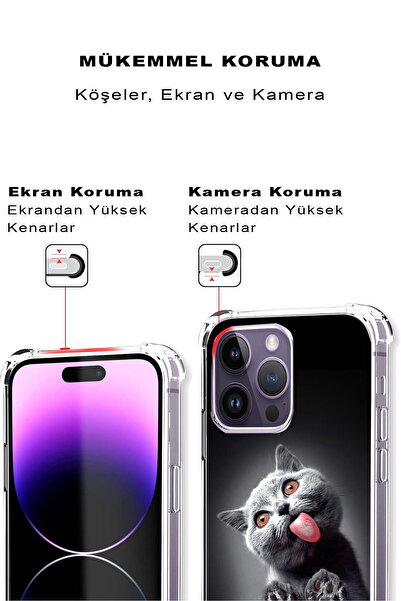 PrintiFy Samsung Galaxy S7 Edge Compatible Cat 2 Printed Transparent Anti-Shock Case with Corner Protection