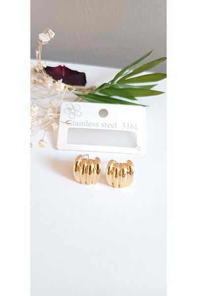Feride Steel Earrings Women's Steel Multi-Look 316L Trend Stainless Steel Earrings Color Guaranteed Cartilage