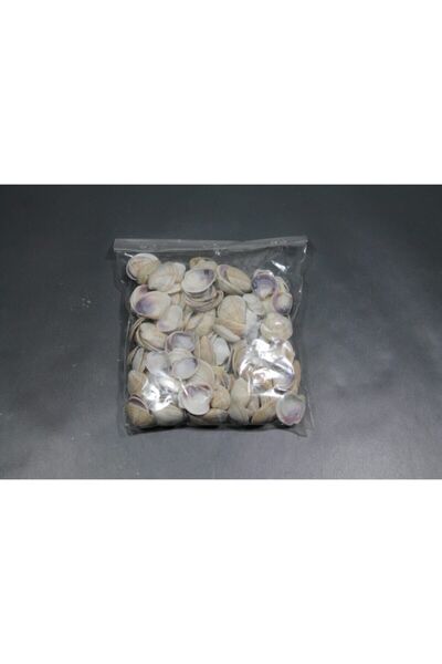 emilysamy Küçük Deniz Kabuğu Süs Dekoratif Akvaryum Süsleme 100 gr