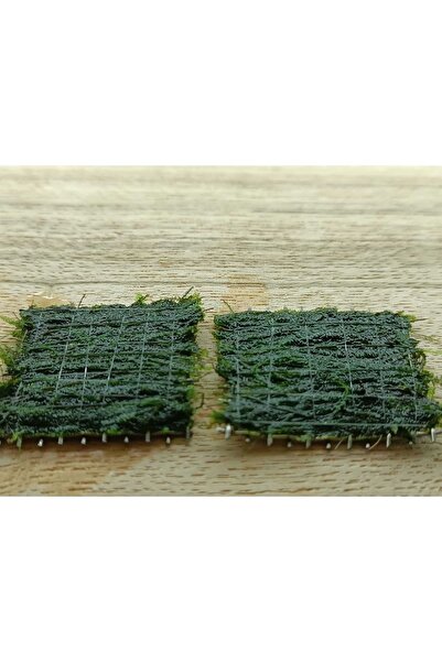KARİDES MARKET 2 Adet 5*5 Cm Java Moss Yeni Tele Sarılı