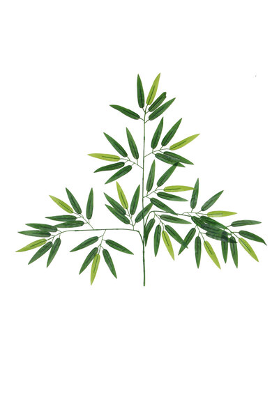 Yapay Çiçek Deposu Yapay Kaliteli Bambu Yaprağı Dalı 57 Cm 6 Adet (ISLAK DOKULU)
