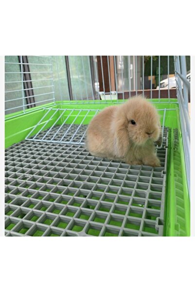 A.C.E.K PLASTİK 50x50 Ölçü Plastik Tavşan Kafesi Taban Izgarası [1 Adet]