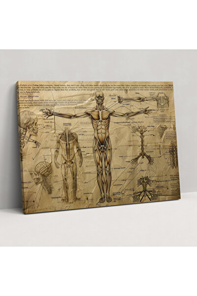Popcas Leonardo Da Vinci Kanvas Tablo - Leonardo Da Vinci, Kanvas Tablo, Anat...