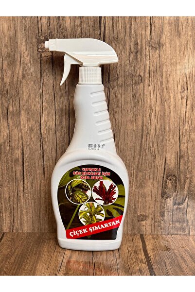 KLİMAKS yapraklı süs bitkileri Difenbahya Antoryum Starliçe spatifili Özel be...