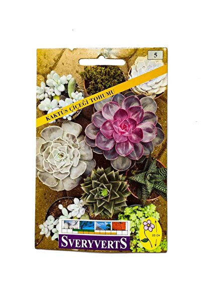 Vipfoni Sukulent Kaktüs Çiçeği Tohumu