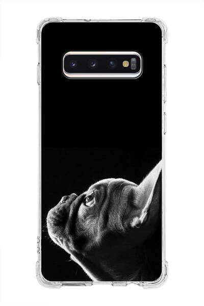 PrintiFy حافظة مضادة للصدمات متوافقة مع هاتف سامسونج جالاكسي S10 بلس مع طباعة شفافة للزوايا