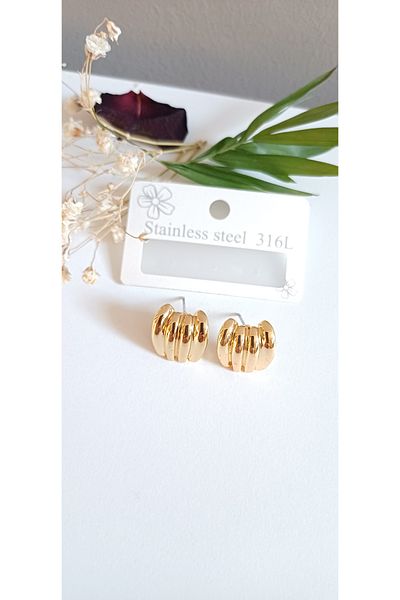 Feride Steel Earrings Women's Steel Multi-Look 316L Trend Stainless Steel Earrings Color Guaranteed Cartilage