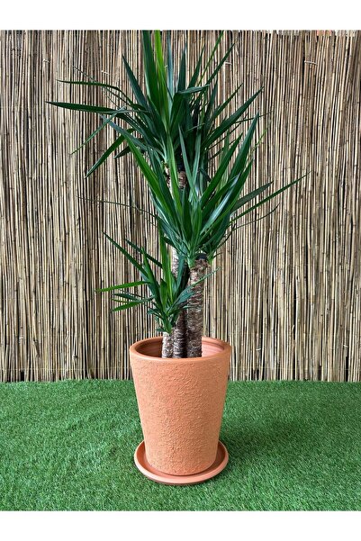 odka Terracotta Çömlek Saksı Tabaklı Uzun Konik Desenli Orta Boy 20 Litre H:3...