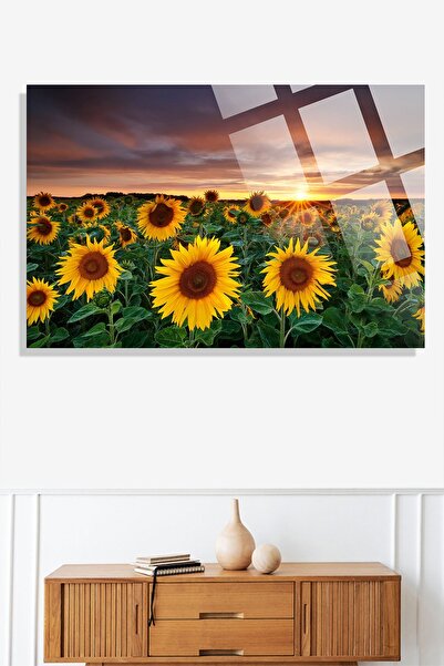 TAULART Peisaj de câmp de flori de floarea soarelui, pictură de lux de 4 mm, ...