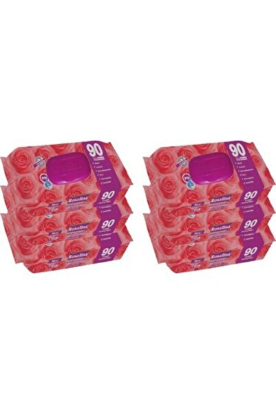 Rosalina Wet Wipes 6 Pack