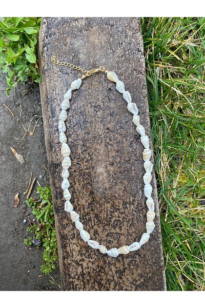Stoneday Gold Apparatus Real Seashell Summer Necklace