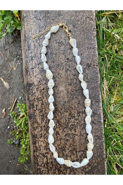 Stoneday Gold Apparatus Real Seashell Summer Necklace