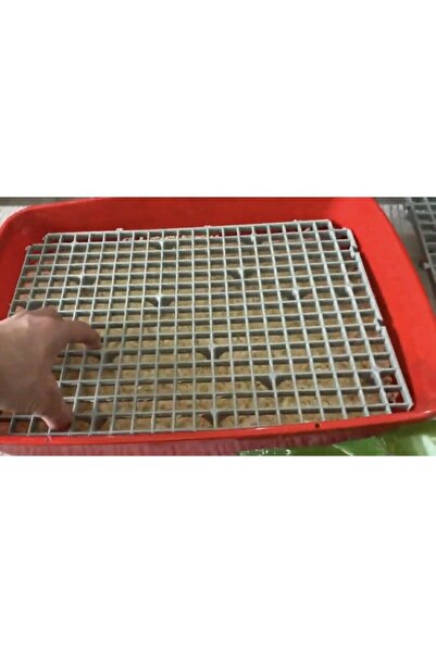 A.C.E.K PLASTİK 50x50 Ölçü Plastik Tavşan Kafesi Taban Izgarası [1 Adet]