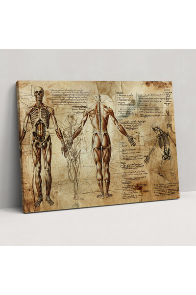 Popcas Leonardo Da Vinci'den İnsan Anatomisi Çalışması Kanvas Tablo, Leonardo...