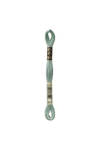 Dmc Muline Hand Embroidery Threads - 8 M - Color No 3817