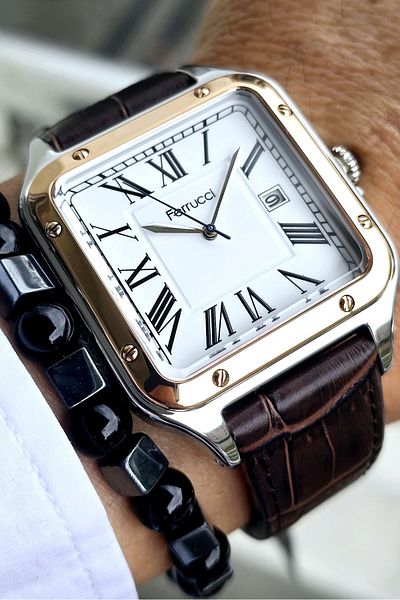 Ferrucci Men's Wristwatch - 2 Years Warranty, Leather Band, Steel Case, 3 ATM Waterproof, Bracelet Gift