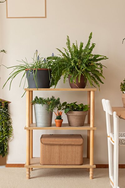 HAMUR Concept 2 Raflı Mutfak Dolabı Kitaplık Banyo Balkon Organizer Ofis Düzenleyici Ahşap Nature