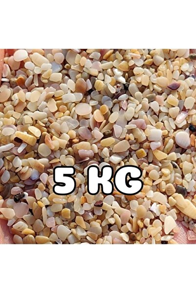 Melien Akvaryum Kumu Tropikal Midye Kırığı Kum Orta Boy 5 Kg