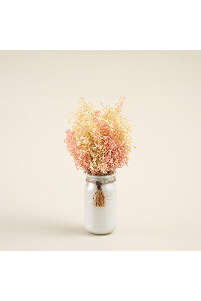 Chakra Jani Vazoda Kuru Çiçek Natural