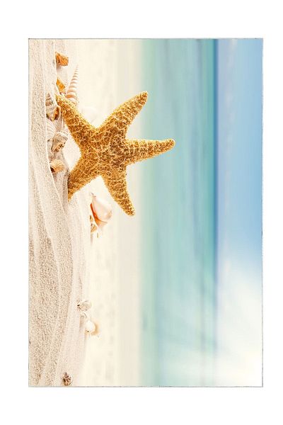 Alanur Home Set de toaletă digital pentru baie cu bază anti-alunecare Alanur Trend Kt441 Albastru