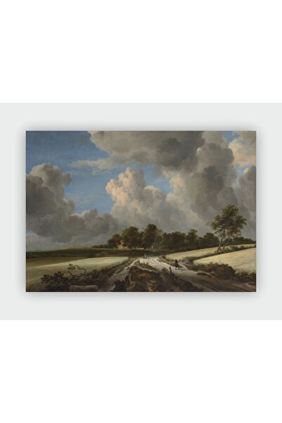 fırsatlar diyarı Jacop van Ruisdael, Wheat Fields Vintage Art Duvar Posteri - Kalın Kağıt - Çerçevesiz
