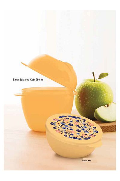 Tupperware Set of 2 Apple Sakla and Rustic Cap - Dress and Top Set