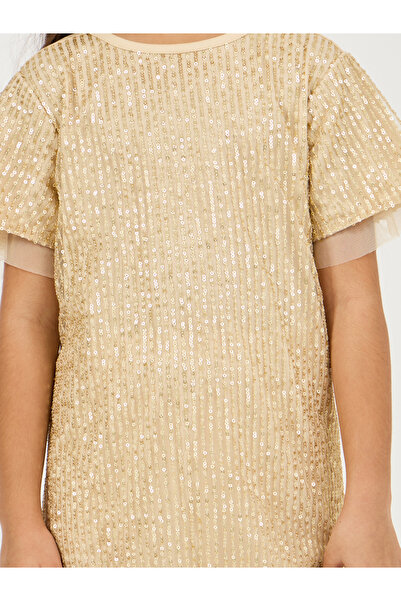Styli Sequined A-Line Dress with Mesh Insert