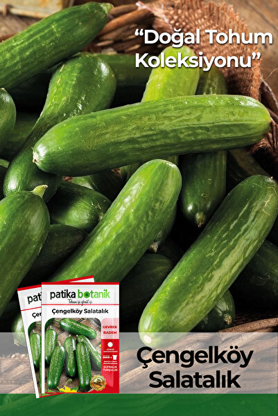 Patika Botanik 100 Adet Çengelköy Salatalık Tohumu