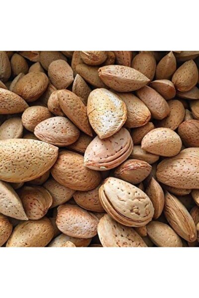 Genel Markalar Sert (KABUK İNCE DEGİL) Kabuklu Badem 1 Kg