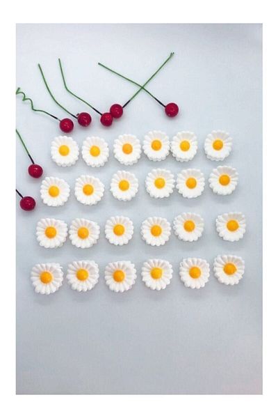 MoonsS Cataramă cu zăvor Little Daisy 24 buc