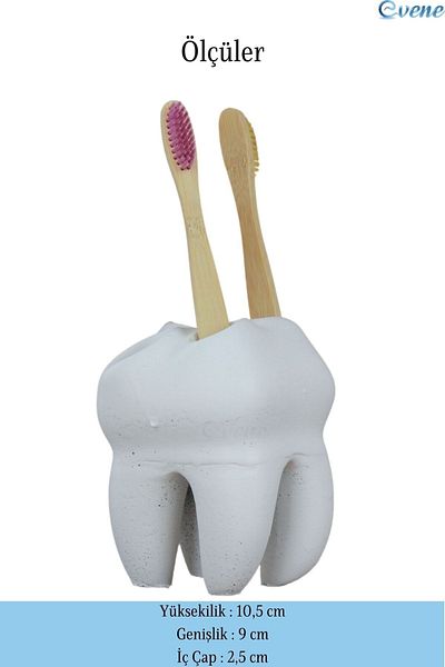 Evene White Color Toothbrush Stand - Model 5 Countertop