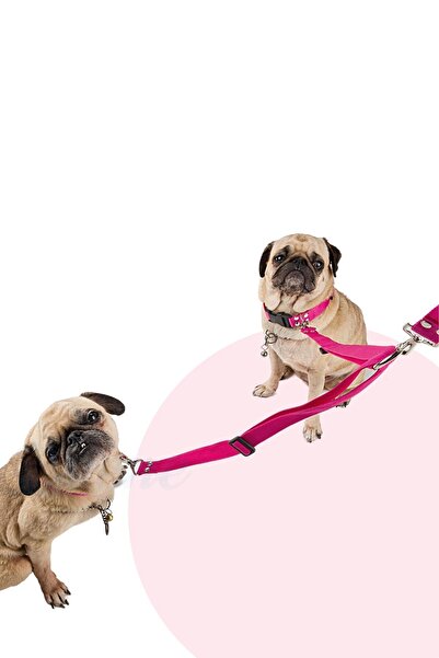 Evene Köpek Gezdirme Tasması Ayarlanabilir Boyun Göğüs Tasma Pembe