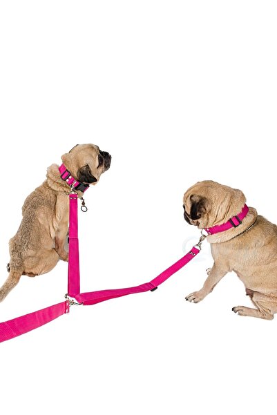 Evene Köpek Gezdirme Tasması Ayarlanabilir Boyun Göğüs Tasma Pembe