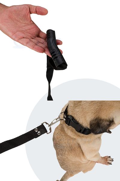 Evene Black Dog Collar - Adjustable Walking and Neck Collar
