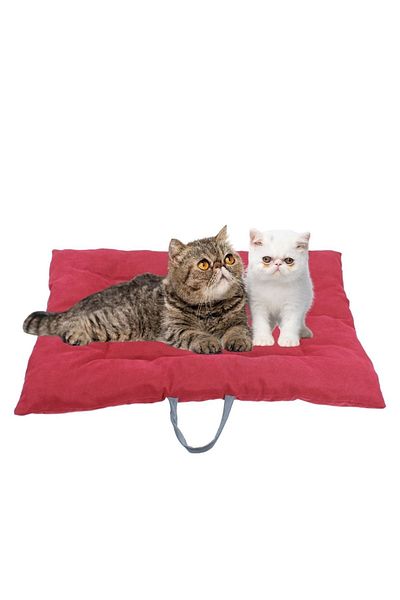 Evene Cat Bed Dog Bed Cat And Dog Bed Cat Cushion Dog Cushion Model 3 Red