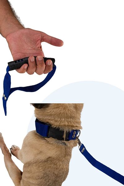 Evene Blue Dog Collar - Adjustable Size Animal Collar