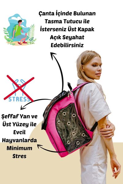 Evene Kırmızı Kedi Taşıma Çantası Şeffaf Orta Boy Uçak Için Uygun Hava Alan Kapsüllü Su Geçirmez Sırt Çant